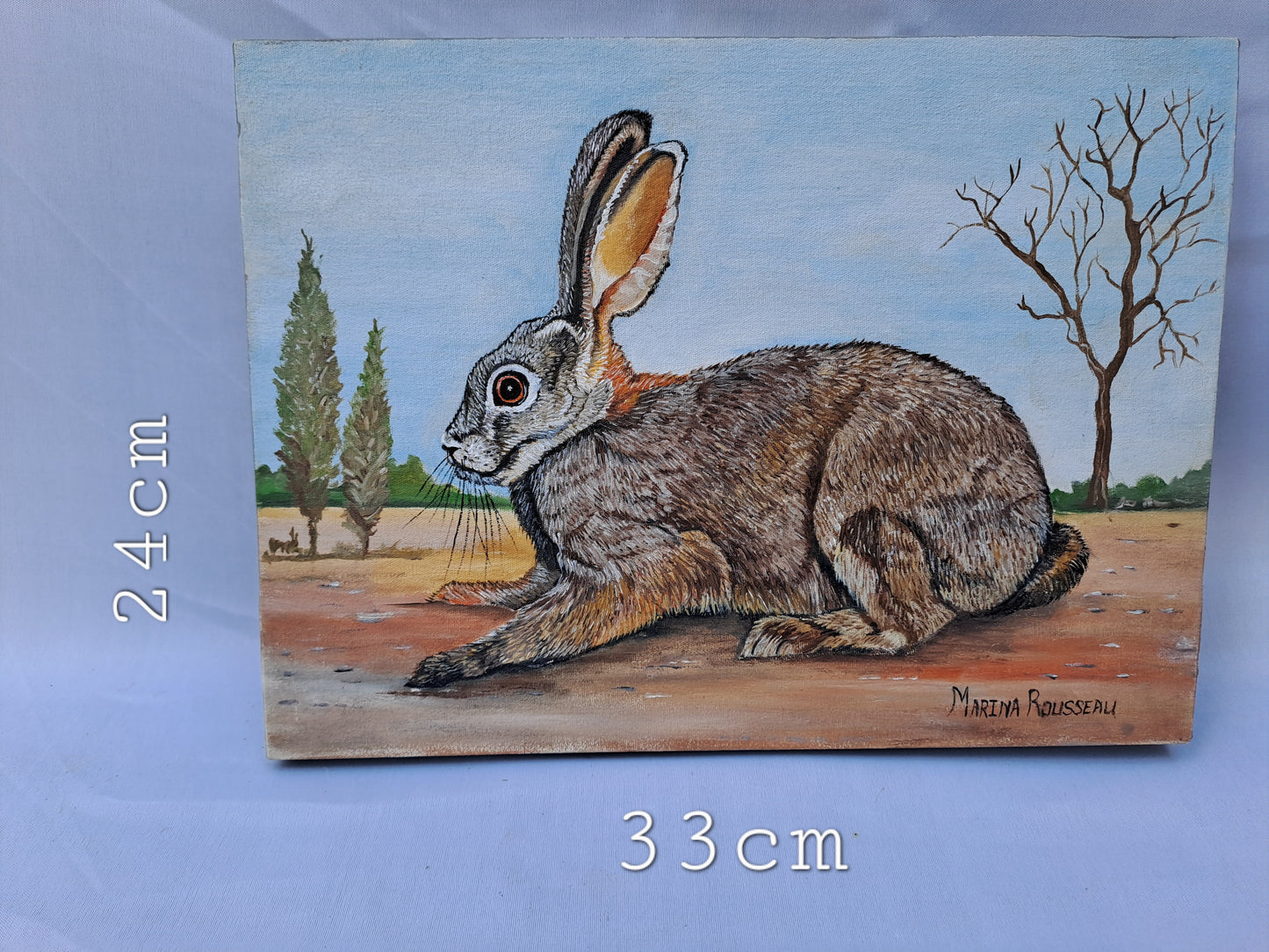 Original Artwork: "Karoo Hare / Rabbit", (Farmyard Collection)